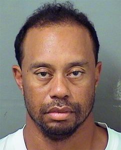 Tiger Woods Booking Photo