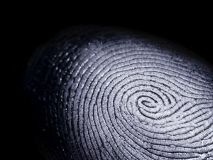 Fingerprint on Black